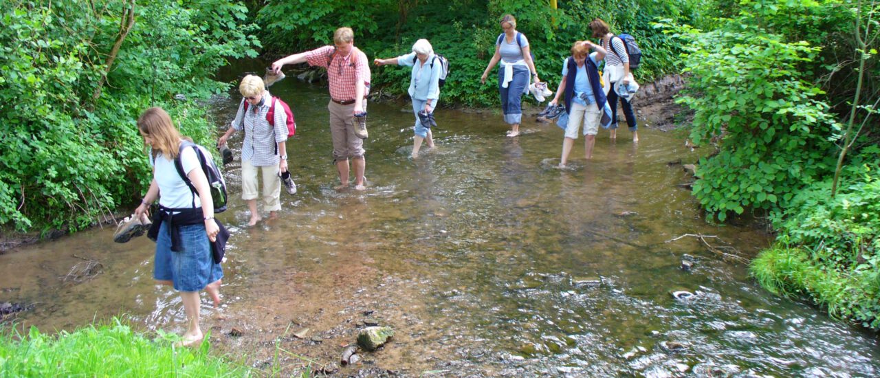 15 Jahre GangART: Pfarrerin Regina Westphal im Buchenbach im Mai 2009