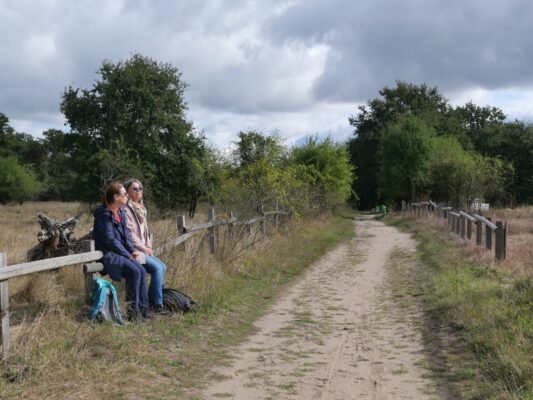 Knapp daneben ist mittendrin