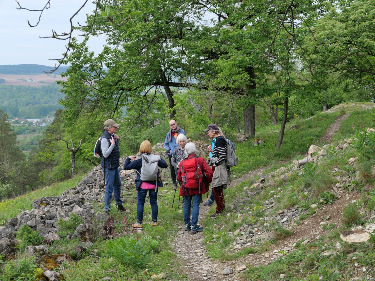 Muße statt Müssen: Im Fränkischen Weinland nach Veitshöchheim