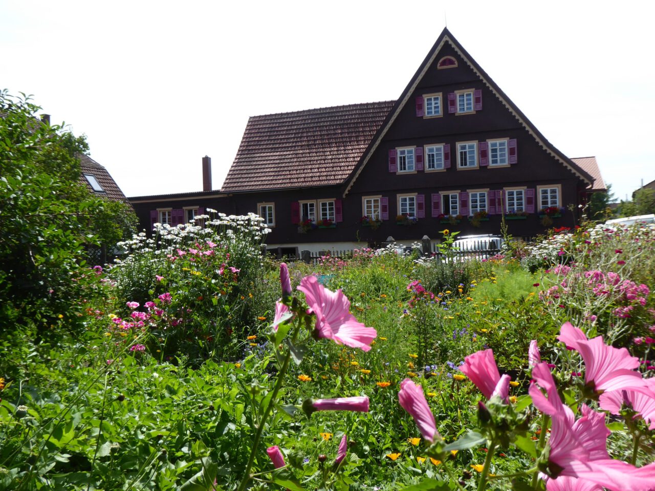 Liebe auf dem Schwarzwaldhof